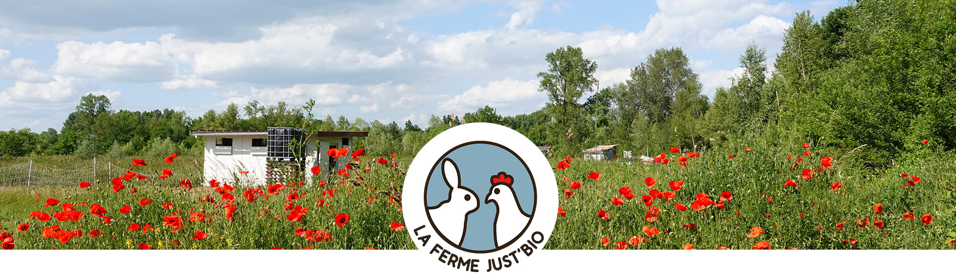 Accueil // La ferme just bio, producteur bio en Champagne